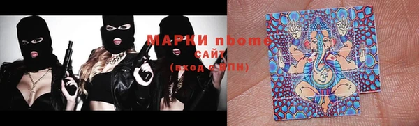 индика Гусев