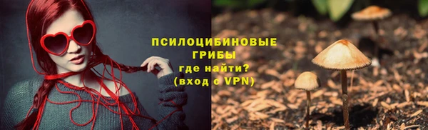 индика Гусев
