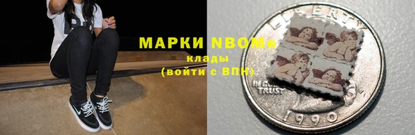 индика Гусев