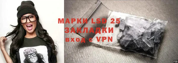индика Гусев