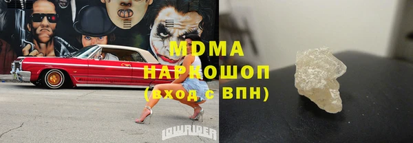 индика Гусев