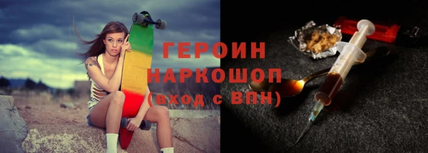 индика Гусев