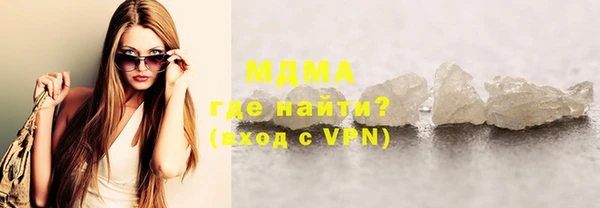 индика Гусев