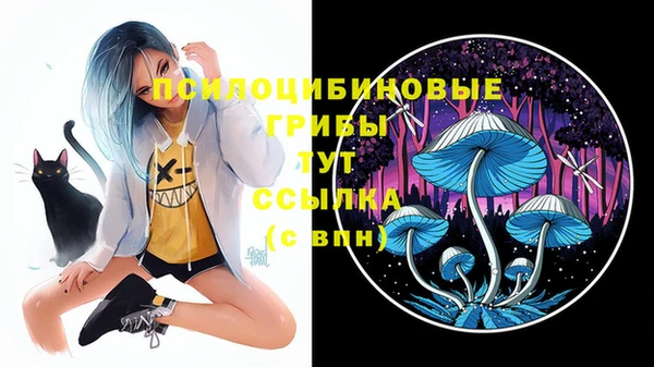индика Гусев
