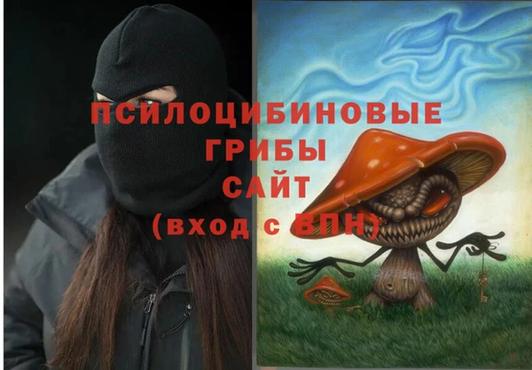 индика Гусев