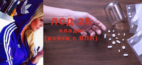 индика Гусев