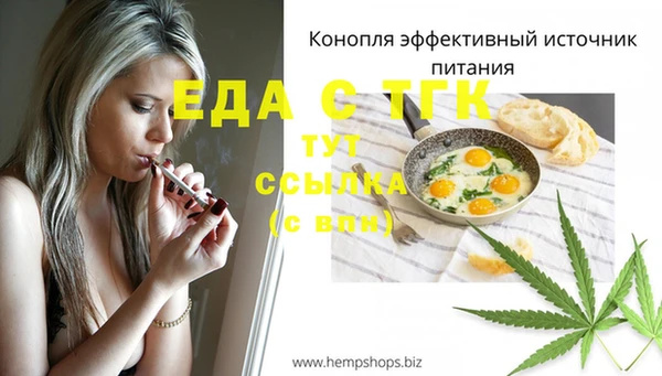 индика Гусев