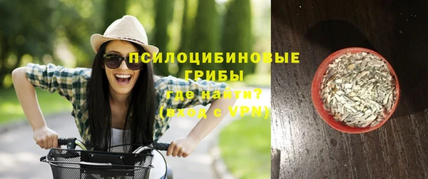 индика Гусев