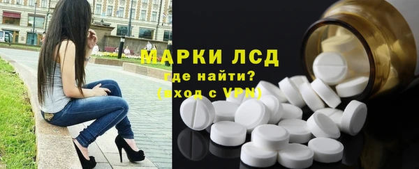 индика Гусев